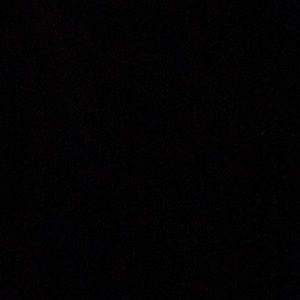 Meet your Posher, Patty